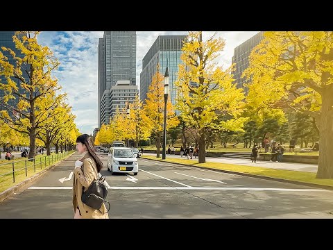 【東京銀杏一日遊】6個推薦銀杏景點💛東京大學、東京車站行幸通、明治神宮外苑、銀杏岡八幡神社、飛木稻荷神社、國營昭和紀念公園夜間點燈｜東京自由行｜實彩子Misako