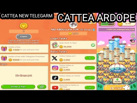 cattea new project|| catizen  new cattea project || cattea  today combo 70% airdrop Token || #cattea