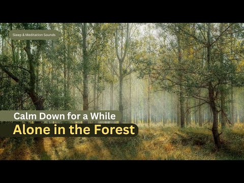 Calming Sounds: Alone in the Forest - Forest Sound for Meditation and Sleep (30 mins)