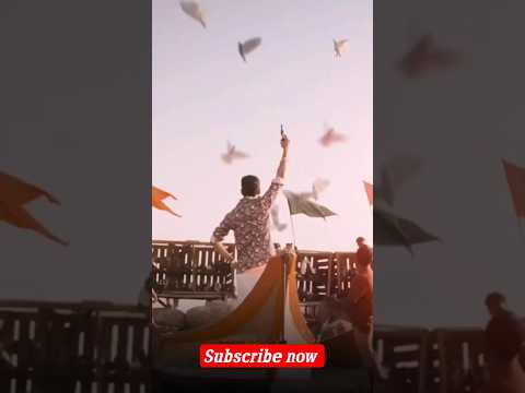 pigeon flying \ maari movie #youtubeshorts #kingflyingpigeons #trending #viralvideo