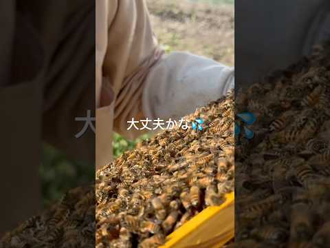 心配が増えました💦