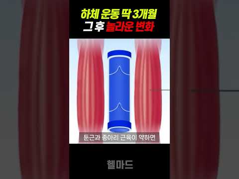 하체 운동 안하면 님 몸에 벌어지는 일