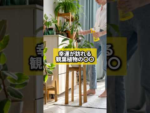 幸運が訪れる観葉植物の〇〇#風水 #金運 #金運アップ #建築 #八納啓創