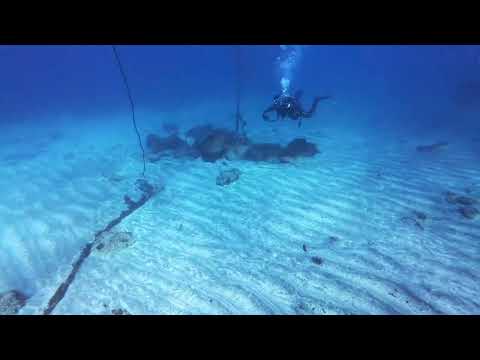 【ダイビング】水中の枯山水。富戸