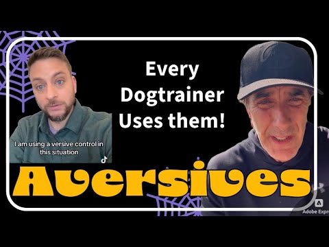 Every Dog Trainer Uses Aversives @zakgeorge