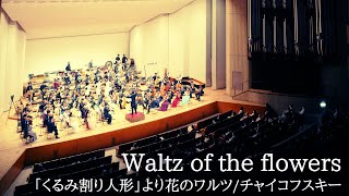 "Waltz of the flowers" /「くるみ割り人形」より花のワルツ/チャイコフスキー