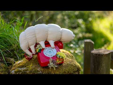 Jenny and Cat on BBC Radio Devon Caroline records a message to Tell the Tardigrade: audio only