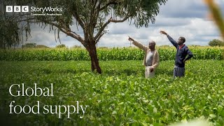 How do we address the growing demands on global food supply? | Mitsui & Co. | BBC StoryWorks