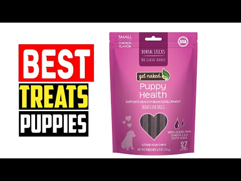 ✅Top 5 Best Treats for Puppies of 2024