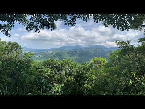 大崙尾山親山步道，台北市區中好走的森林步道，中社路步道，翠山步道