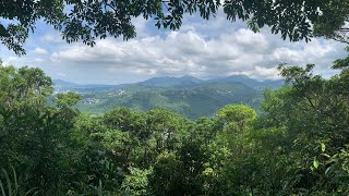 大崙尾山親山步道，台北市區中好走的森林步道，中社路步道，翠山步道