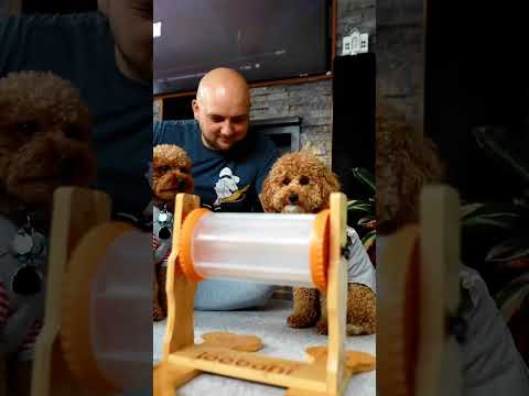 Loobani puzzle toy Play | with your puppy