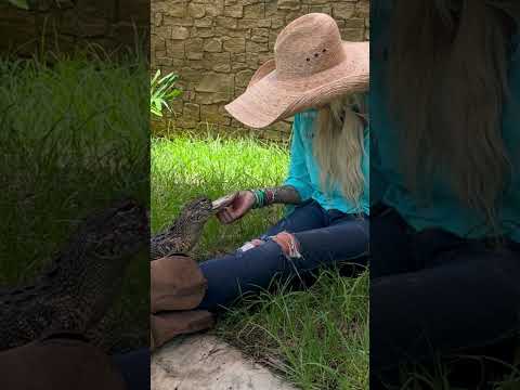 Jawlene: The Amazing Alligator! #shortsvideo #jawlene #dollyparton #gatorland