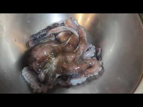 Street Food-Octopus Taiwanese Seafood