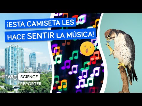 ¡Así es cómo pueden sentir la música en su piel!