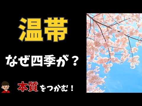 温帯の特徴についてわかりやすく解説（ケッペンの気候区分）【地理】