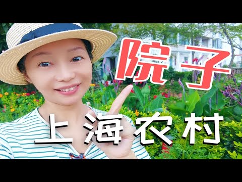 56岁姐姐花五千月租的上海乡下院子房值不值？