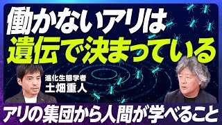 【アリ社会の公共財ジレンマ問題に迫る】進化生態学者・土畑重人／働きアリは遺伝子的に働いている／女王アリの決まり方／アリ研究とAIの関係性【EXTREME SCIENCE】