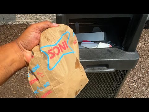 Disgusted and Fed Up | SONIC EDITION!