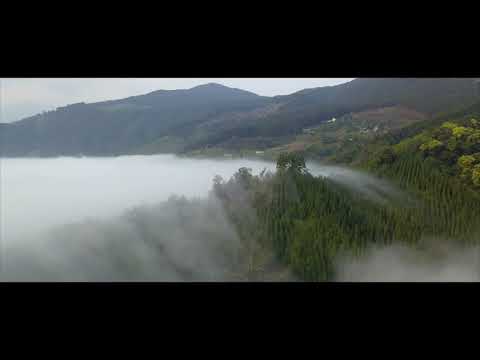 山上人家 雲海空拍 4K