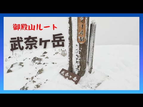 【武奈ヶ岳】御殿山ルートで行く冬の武奈ヶ岳はヤバいです。