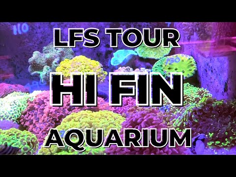 Hi Fin Aquarium