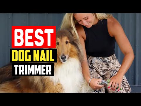 ✅ Best Dog Nail Trimmer of 2023