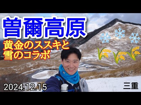 曽爾高原  黄金のススキと雪の高原