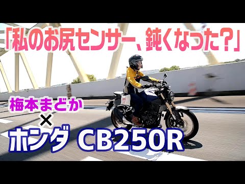 「私のお尻センサー鈍くなった？」CB250Rでロングツーリングしてきました！【梅本まどかとオートバイ】