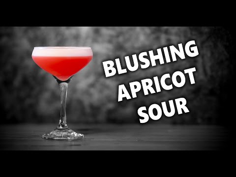 How To Make The Blushing Apricot Sour | Booze On The Rocks