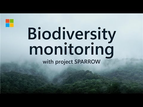 Introducing SPARROW: Harnessing AI to protect our planet's biodiversity in the most remote places