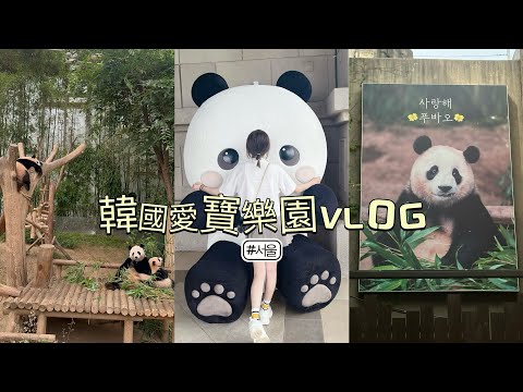 [Vlog]韓國🇰🇷｜愛寶樂園🫧終於看到寶家族啦🐼 隱藏版酷洛米🫶🏻韓國最大最好玩人氣景點✨