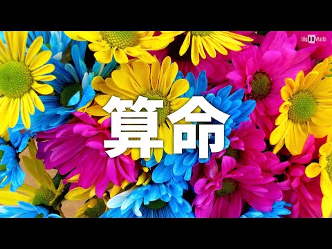 「算命」是怎麼來的？