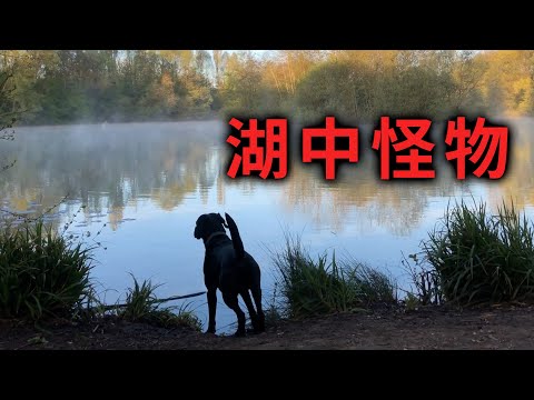 Monster in the lake...unbelievable moment captured on camera! Ghosts in the corridor,