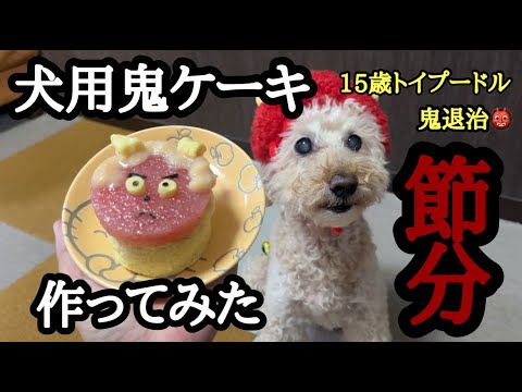 【犬の節分】犬用　簡単鬼ケーキを作って鬼退治してみた❢