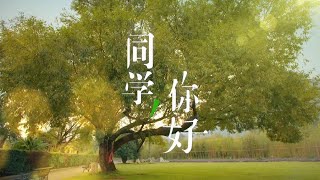 同学 , 你好 预告片 | TRAILER-YOU ARE MY EYES