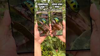 Vivo V40 Pro vs Oneplus 12R Camera Test #vivov40pro #oneplus12r #comparison #trending #shotrs