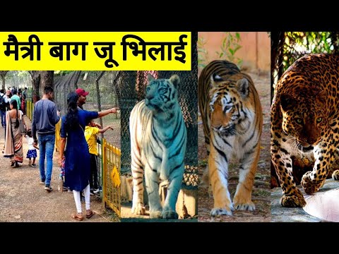 भिलाई मैत्री बाग जू | Bhilai Maitri Bagh Zoo | Bhilai City | Chhattisgarh | Vlogs Rahul