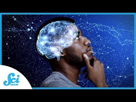 How Our Brains Learn Consciousness