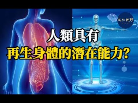 【健康】人類是否具有再生身體部位的潛在能力？ 【文化視野】