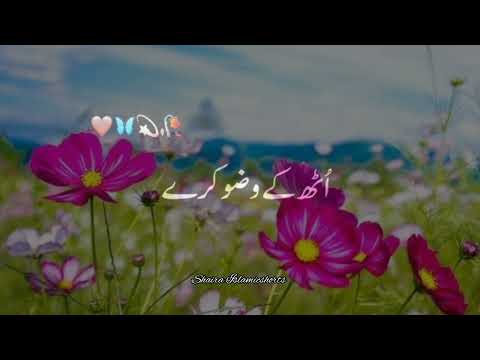 "Allah" Kis Insaan Ko Dekh Kar Muskurate Hai 🥀 | Islamic WhatsApp Status |