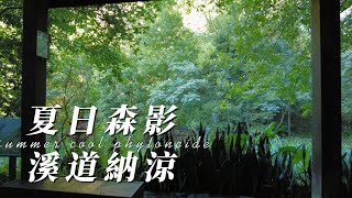 永春陂生態濕地公園 →豹山溪步道–四獸山最富禪意的步道