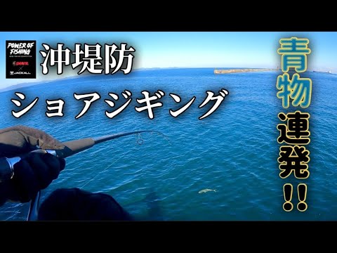 【ショアジギング】沖堤防で青物連発！！