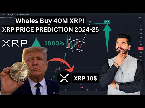 XRP Today News in Hindi | 🐋 Whales Buy 40M XRP! 🚀 | XRP Price Prediction 2024-25 | $10 Next Week?"