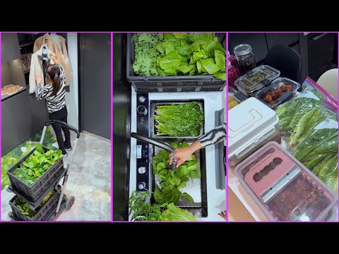 🎀🤩Immersive Vegetable Garden Picking And Vegetable Preparation~✨🫑🥦🥬