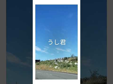 【NEW Face!!】 エンジェル君で四国カルストにやってきた!!