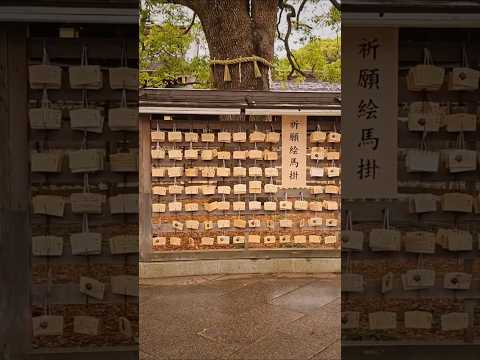 #1 Most visited temple in Japan | Meiji Jingu Shrine, Tokyo | Japan