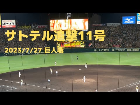 佐藤輝明 11号ソロホームラン #hanshin #tigers #阪神タイガース