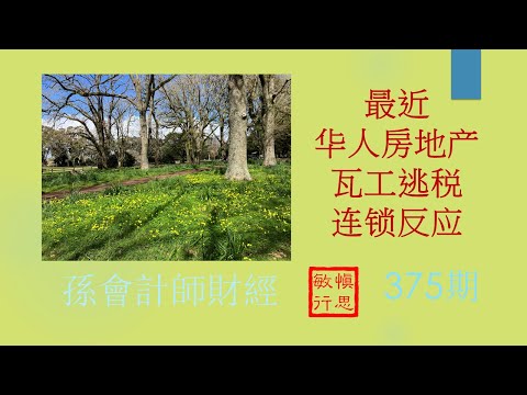 最近华人房地产瓦工逃税连锁反应【孫會計師財經周刊】第375 期 （2023.9.17）