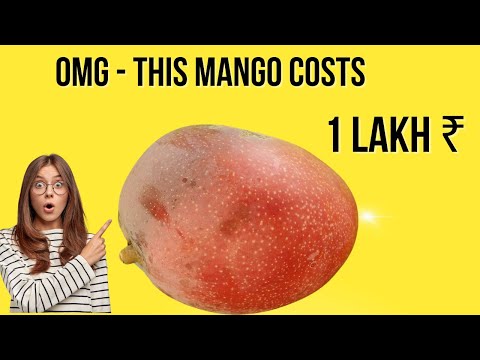 This Is The Worlds Most Expensive Mango Variety /How To Grow this Costly Mango